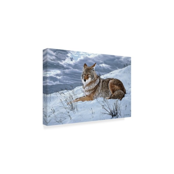 Ron Parker 'Darkening Sky Coyote' Canvas Art,16x24